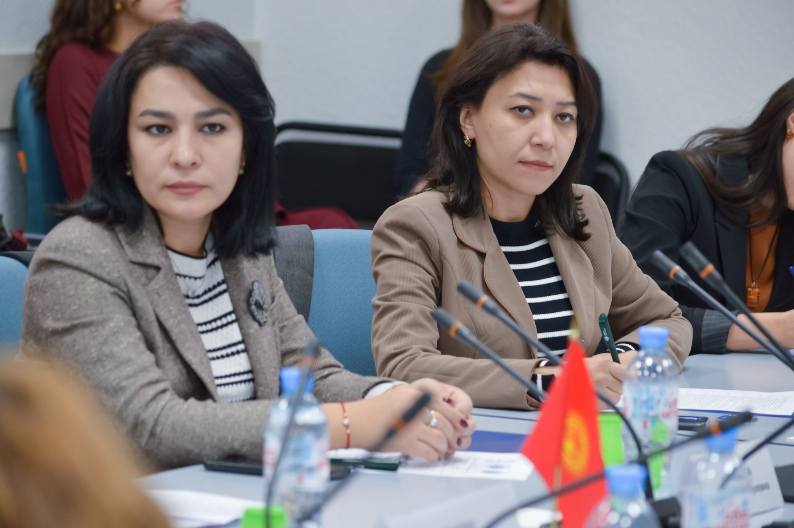 НИИРК – «Многовекторность во внешней политике» обсудили участники Программы мобильности НИИРК с российскими экспертами