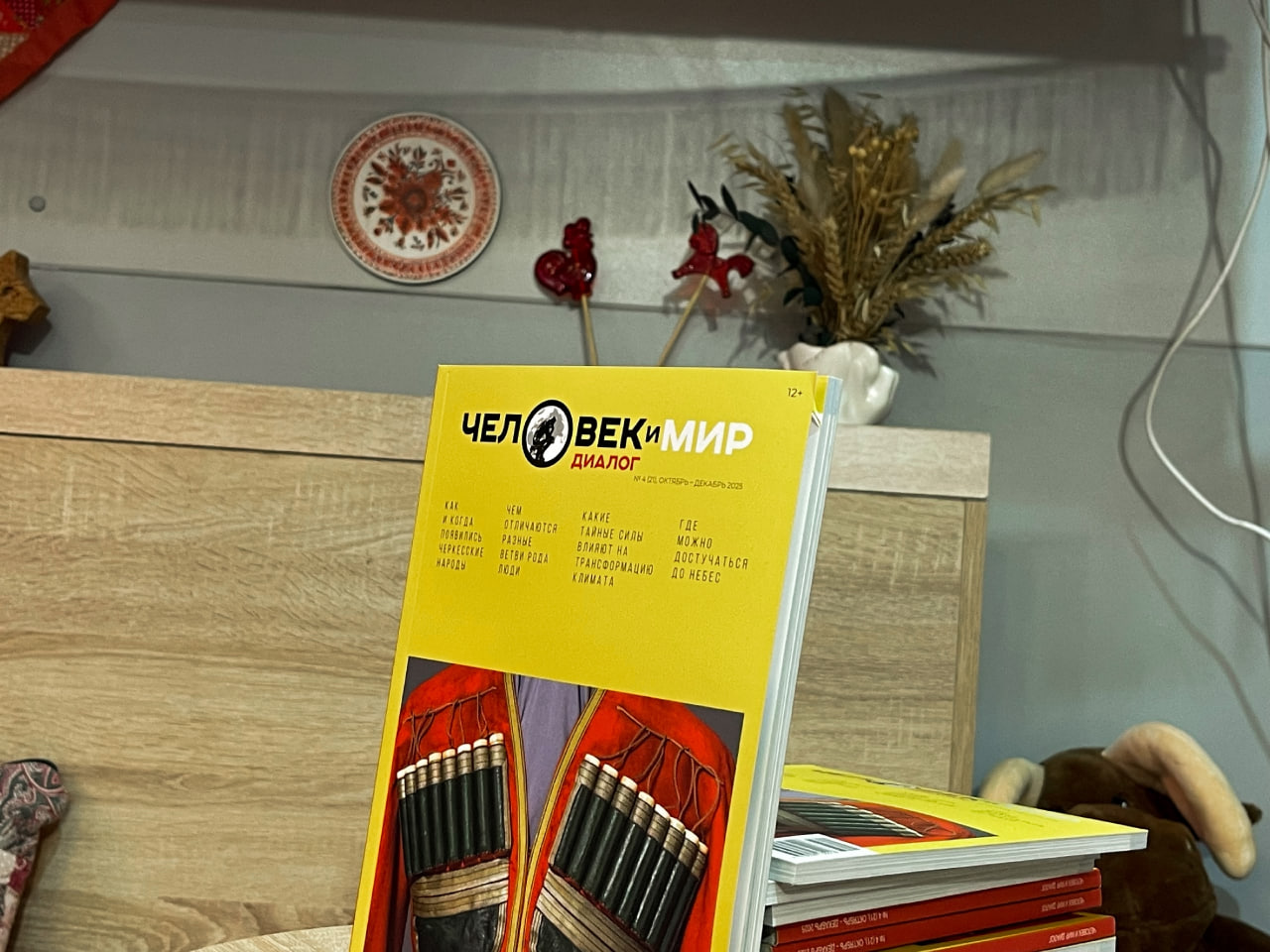 НИИРК – Дмитрий Бальбуров представил журнал «Человек и мир. Диалог» на «Днях Русского Севера»