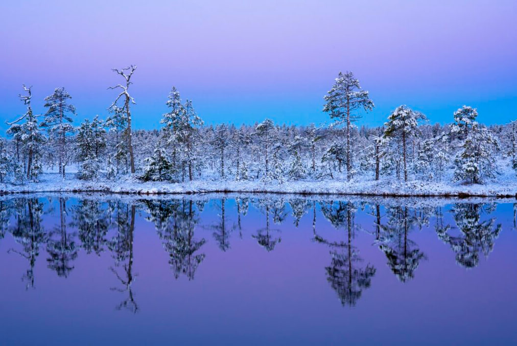 НИИРК – НИИРК и Perspectum вновь представят свои проекты на фестивале «Первозданная Россия»